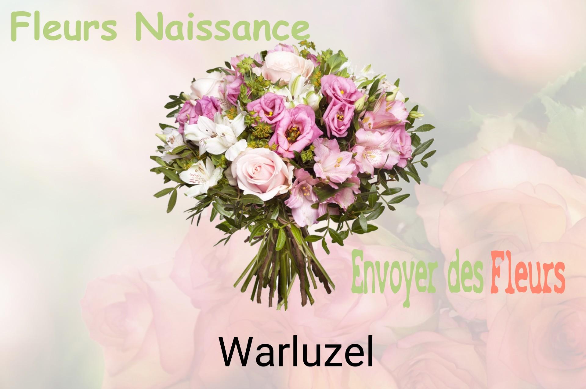 Bouquet de fleurs de naissance livré à Warluzel