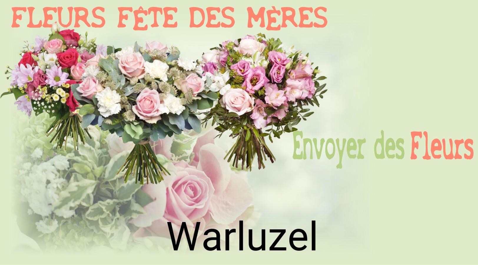 Bouquet de Fête des Mères livré à Warluzel